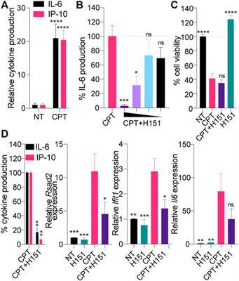 Pharmacological Targeting of STING-Dependent IL-6 Production in Cancer Cells